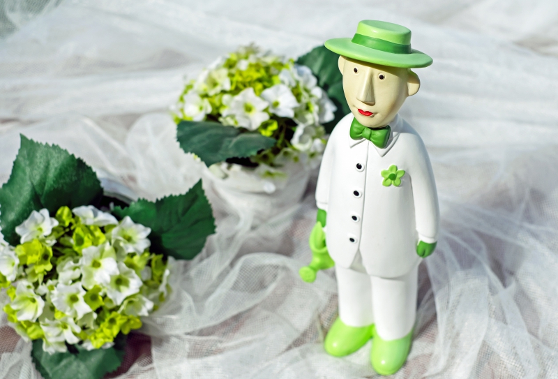 ecommerce-ST MARTIN DU VAR-min_man-person-flower-green-toy-fig-546529-pxhere.com